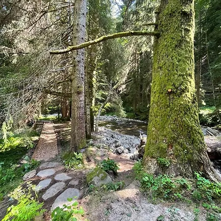 Glamping Tent Water Village Rogla Tente de luxe Oplotnica