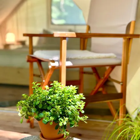 Tente de luxe Glamping Tent Water Village Rogla Oplotnica