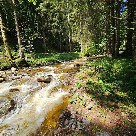 Water Village Rogla A Private Riverside Glamping Tent Oplotnica