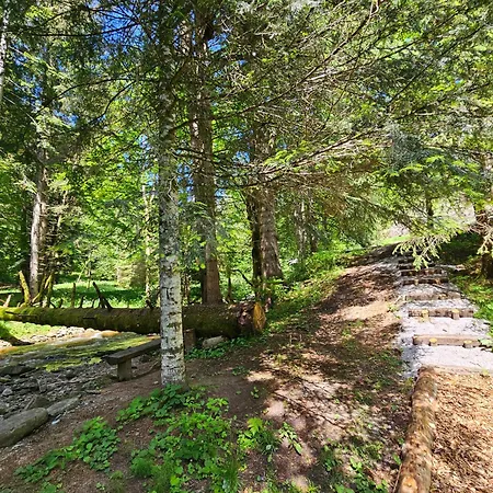 Glamping Tent Water Village Rogla Tente de luxe Oplotnica