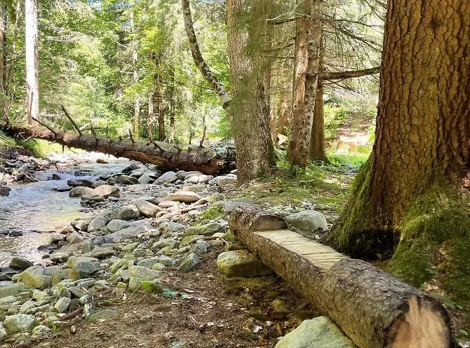 אוהל מפואר Glamping Tent Water Village Rogla