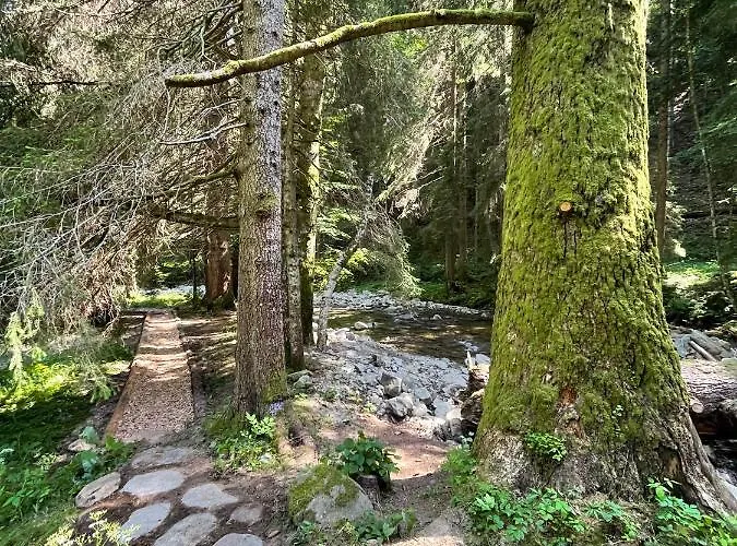 Glamping Tent Water Village Rogla אוהל מפואר Oplotnica