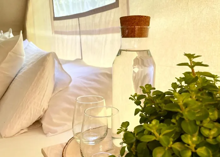 Glamping Tent Water Village Rogla *