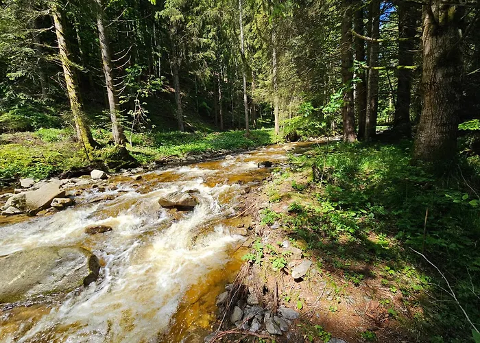 Glamping Tent Water Village Rogla Oplotnica