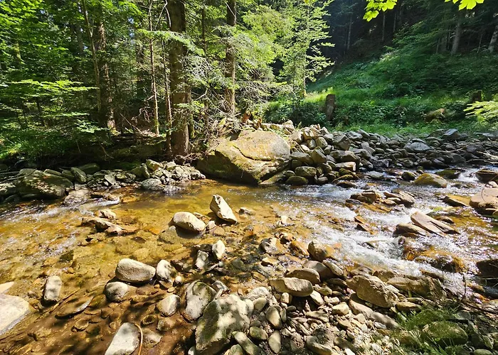 ラグジュアリーテント Glamping Tent Water Village Rogla Oplotnica